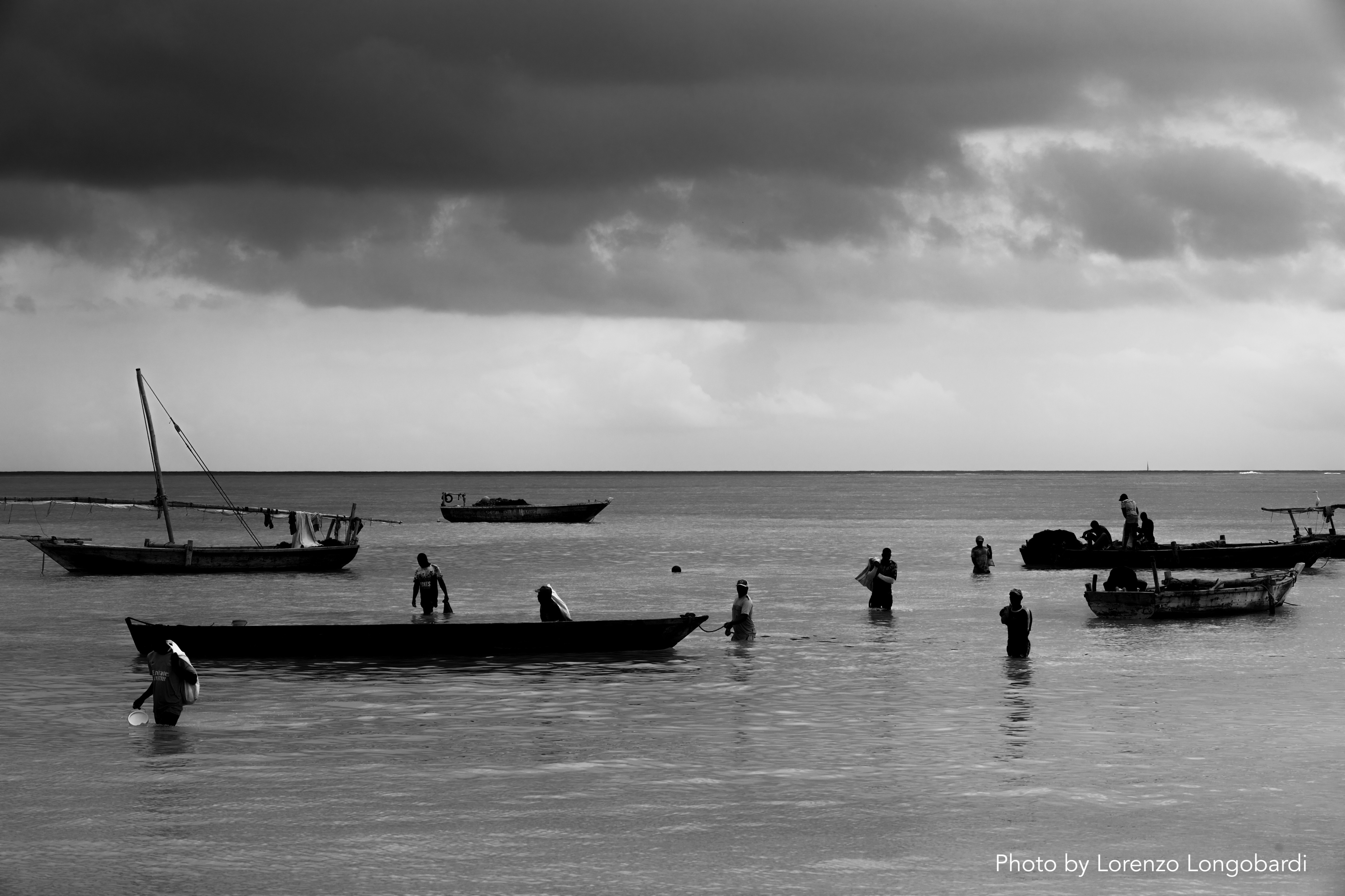 cover image for World Fisheries Day: Celebrating the people behind the numbers